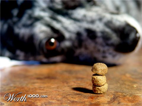 Photography by Meesch