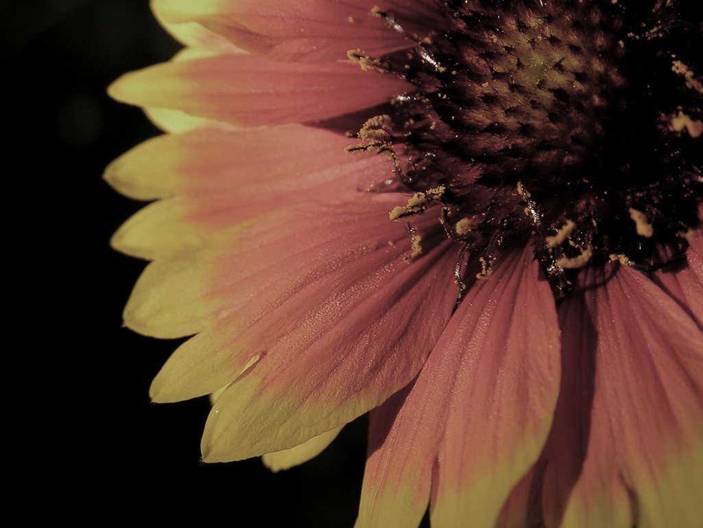 Photography by icucme4 for DesignCrowd (Community Contests) | Design #9060136