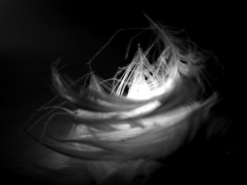 Photography by zensoul for DesignCrowd (Community Contests) | Design #9058355