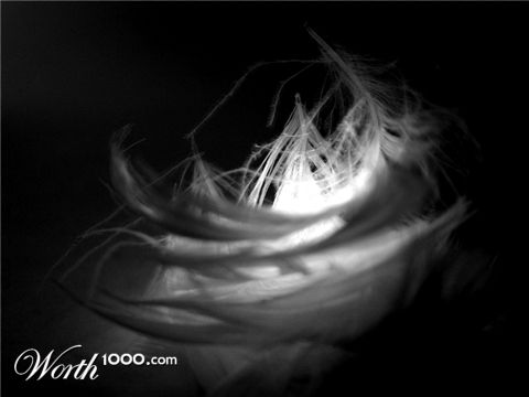 Photography by zensoul