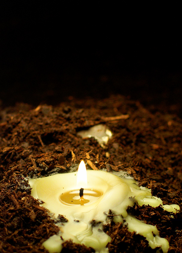 Fotografía por ELBradenabra para DesignCrowd (Community Contests) | Diseño #9067184