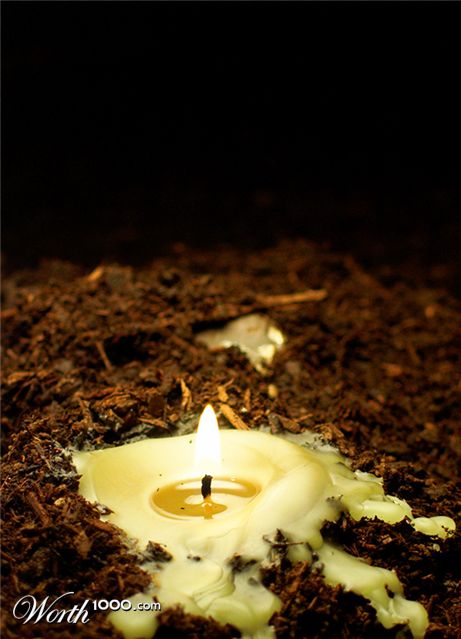 Photography by ELBradenabra