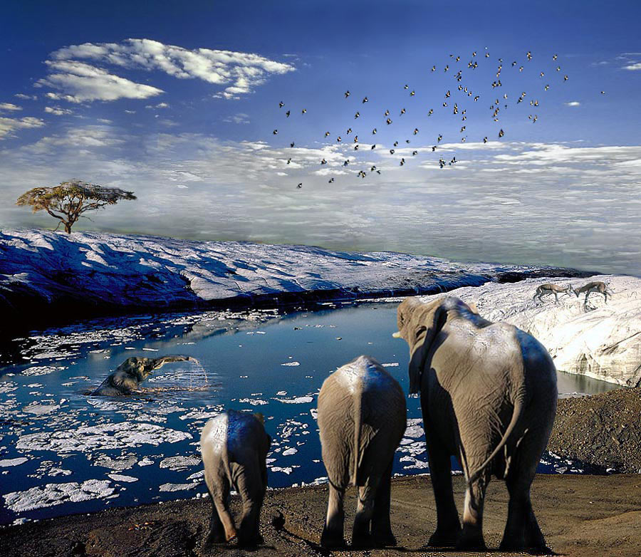 Photoshop Design by Meesch for DesignCrowd (Community Contests) | Design #9059443