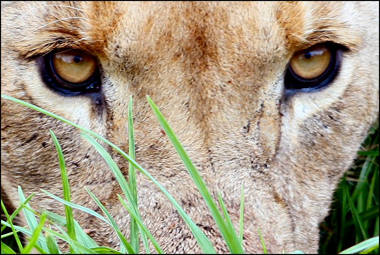 Photography by Juicer for DesignCrowd (Community Contests) | Design #9060203