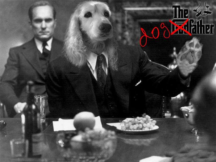 Diseño de Photoshop por mattbyng para DesignCrowd (Community Contests) | Diseño #9066656