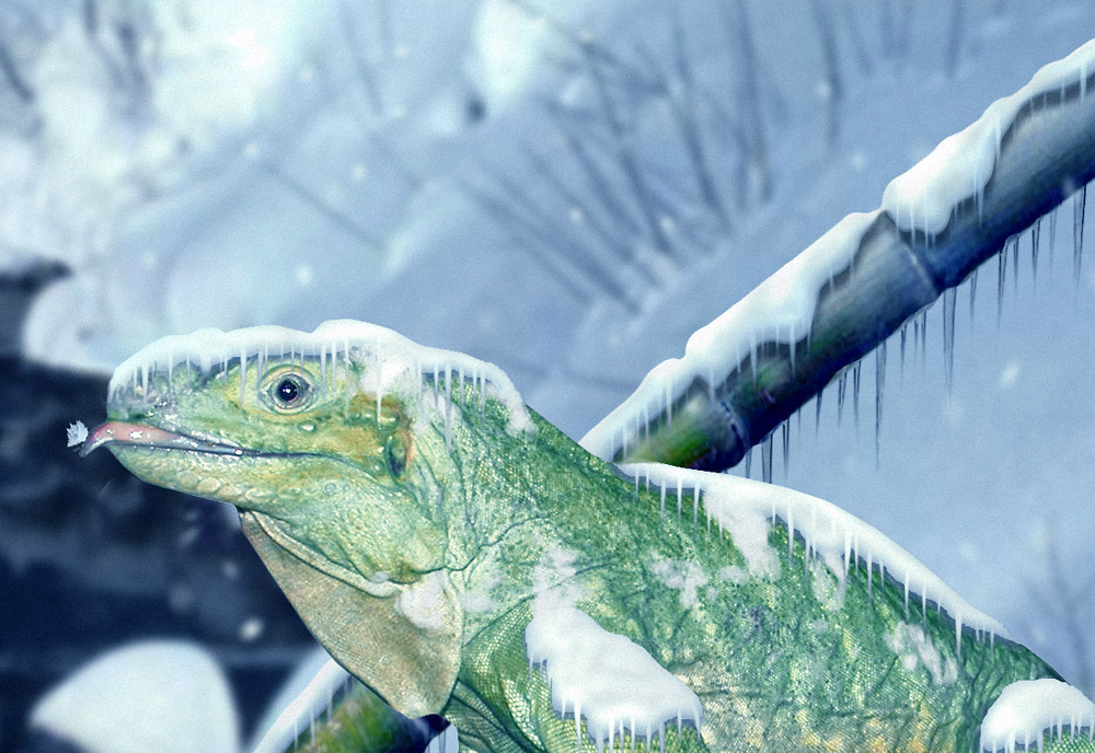 Design Photoshop par DestinationCreation pour DesignCrowd (Community Contests) | Design #9059441