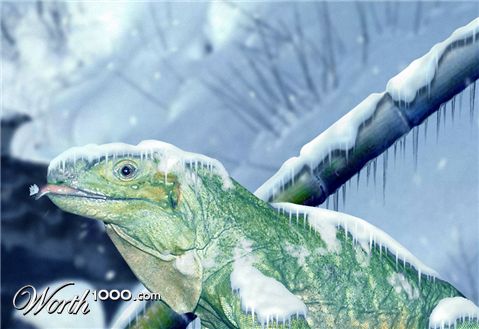 Photoshop Design by DestinationCreation