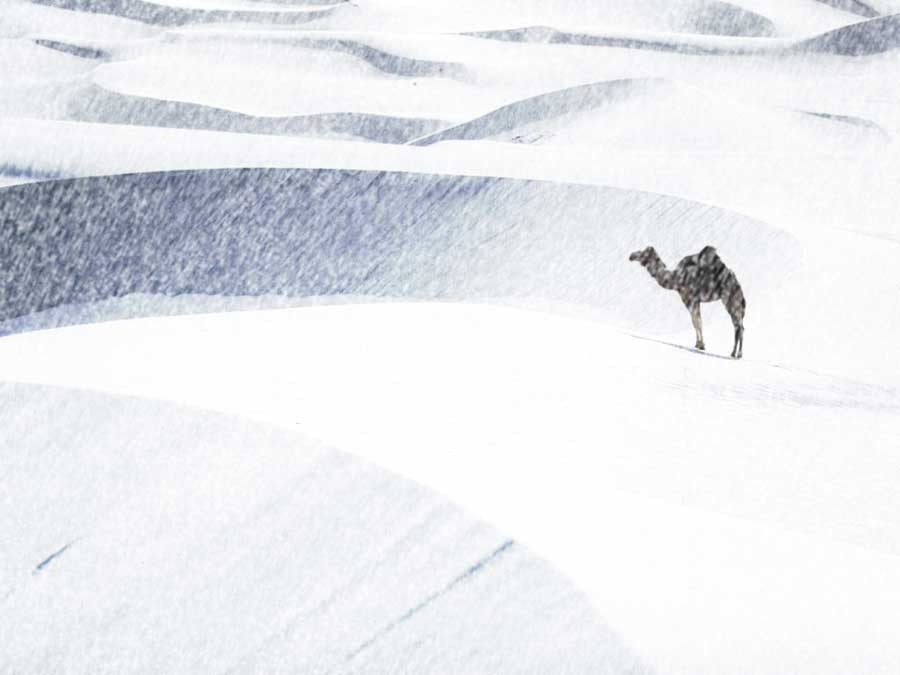 Photoshop Design by lilimarleen for DesignCrowd (Community Contests) | Design #9059496