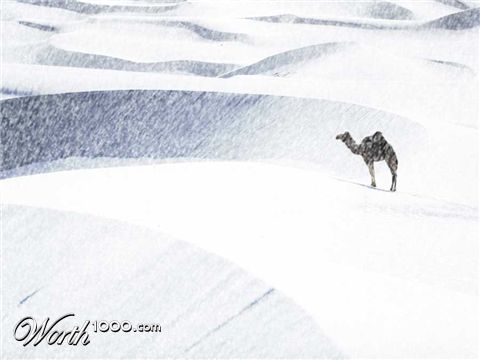 Photoshop Design by lilimarleen