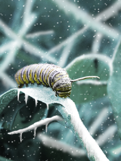 Photoshop-Design von ezkapealterno für DesignCrowd (Community Contests) | Design #9059509