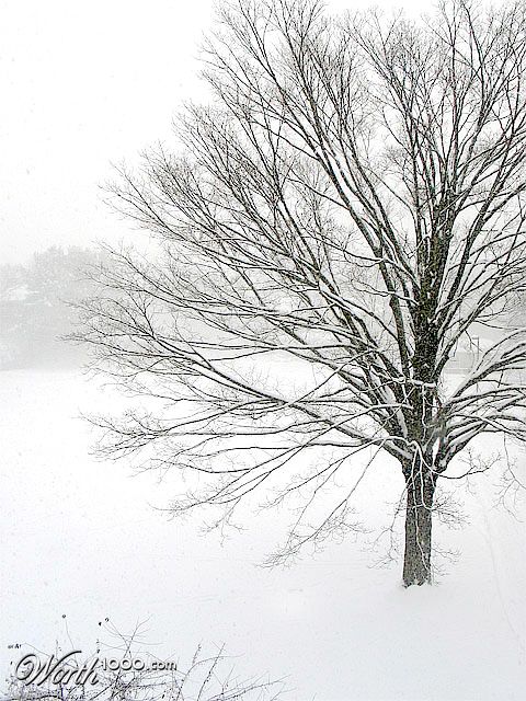 Photography by rennan