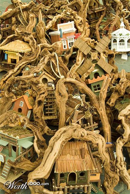 Photography by rennan