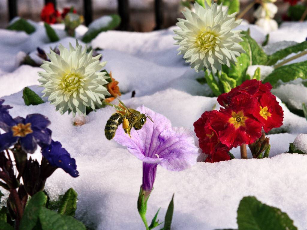 Design Photoshop par sloanyo pour DesignCrowd (Community Contests) | Design #9059529