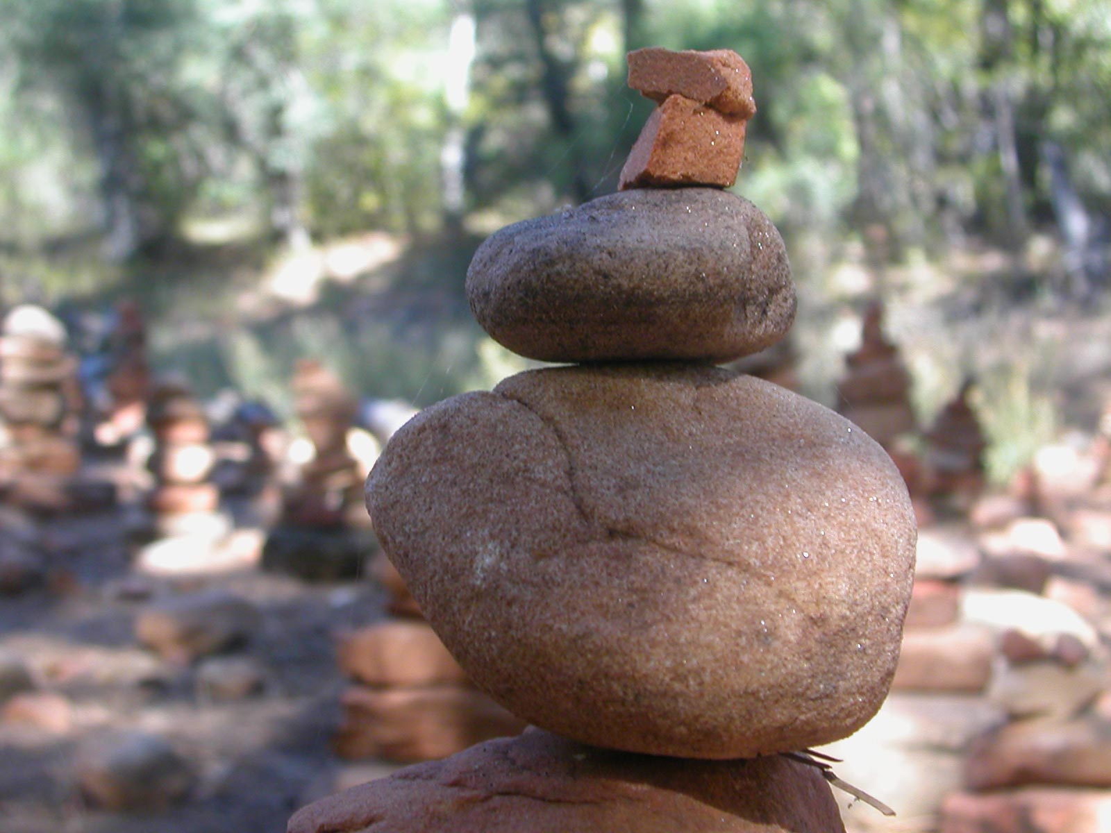 Fotografie von azchick für DesignCrowd (Community Contests) | Design #9058397