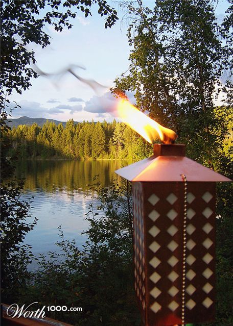 Photography by nowheregirl