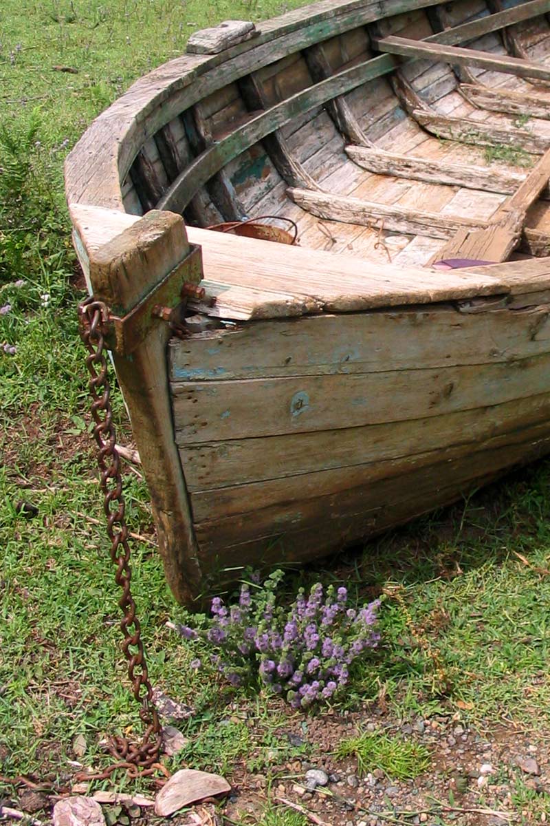 Photography by Marthese for DesignCrowd (Community Contests) | Design #9060237