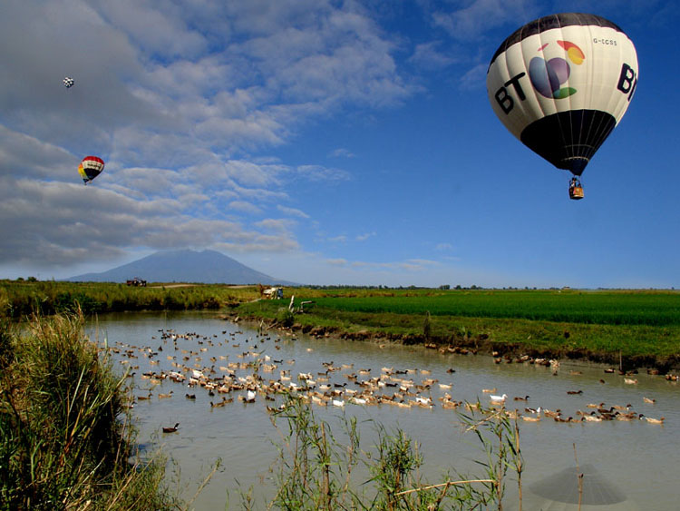 Photography by eslwinshot for DesignCrowd (Community Contests) | Design #9067180