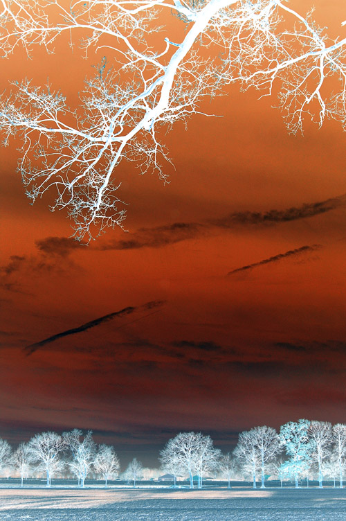 Fotografía por Marian para DesignCrowd (Community Contests) | Diseño #9067930