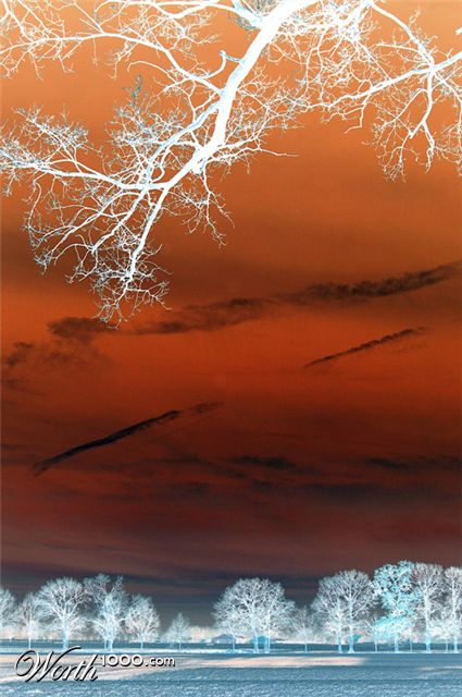 Photography by Marian