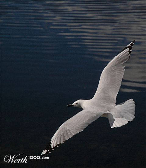 Photography by kimbomac