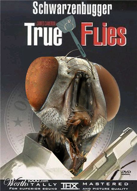 Photoshop Design by JoeyGio