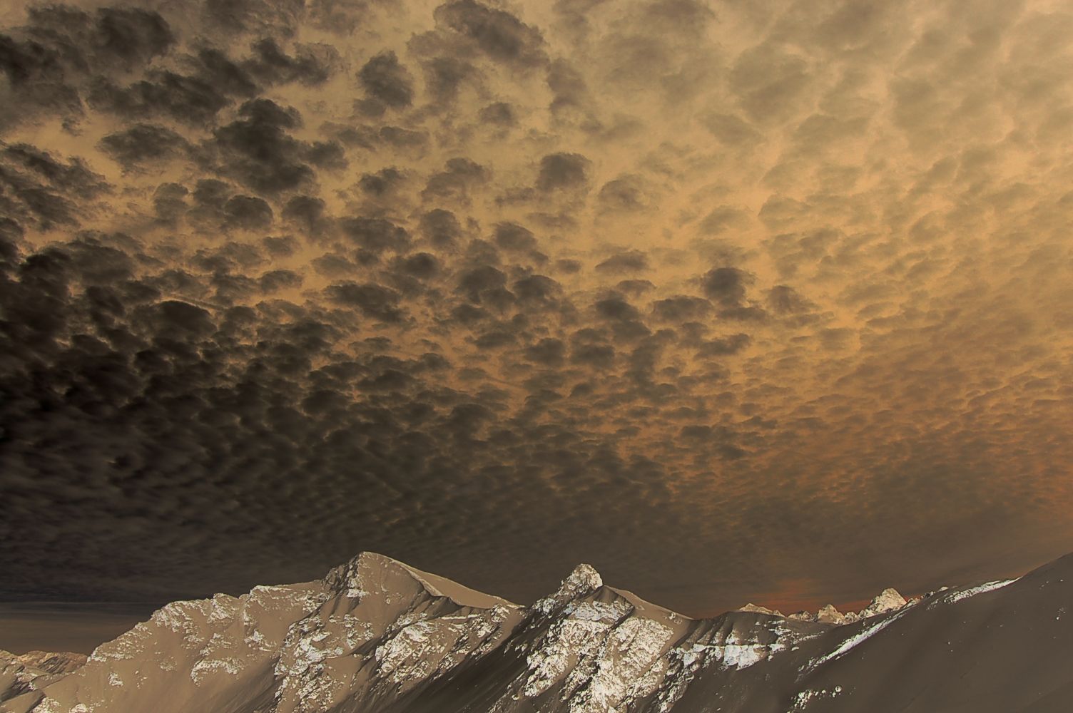 Photography by Jomatotu for DesignCrowd (Community Contests) | Design #9067947