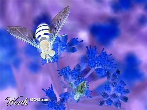 Photography by KarenC