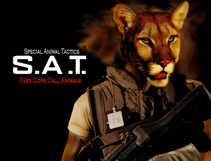 Photoshop Design by Mbeernink for DesignCrowd (Community Contests) | Design #9066832