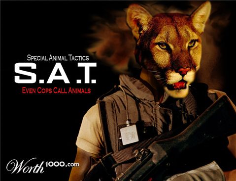 Photoshop Design by Mbeernink