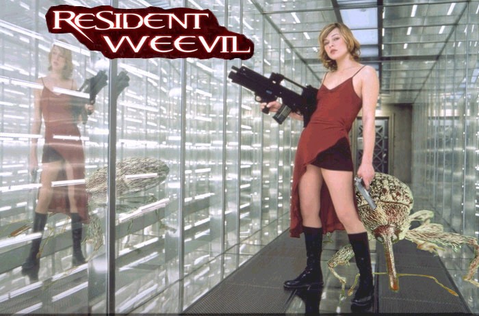 Diseño de Photoshop por pgaffney para DesignCrowd (Community Contests) | Diseño #9067019