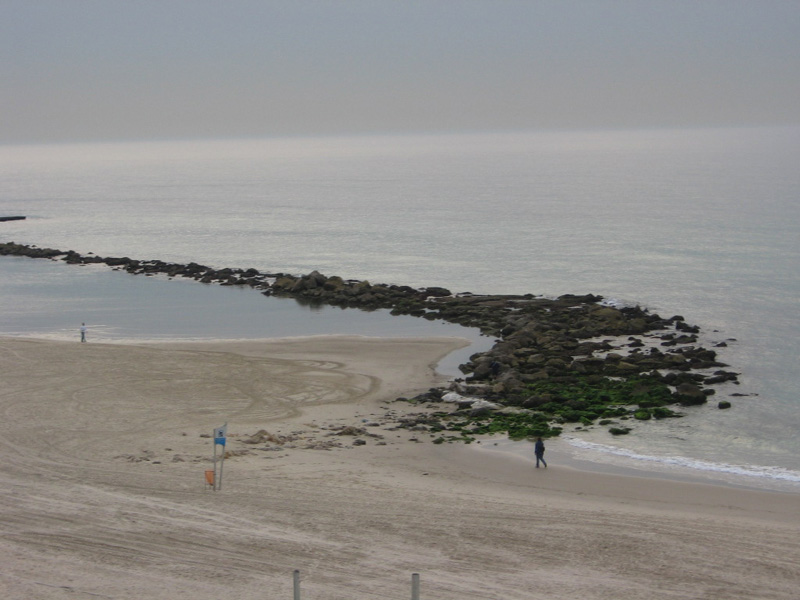 Photography by lilimarleen for DesignCrowd (Community Contests) | Design #9067254