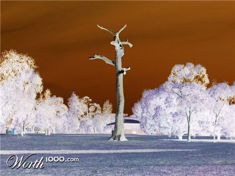 Photography by iamjustme74