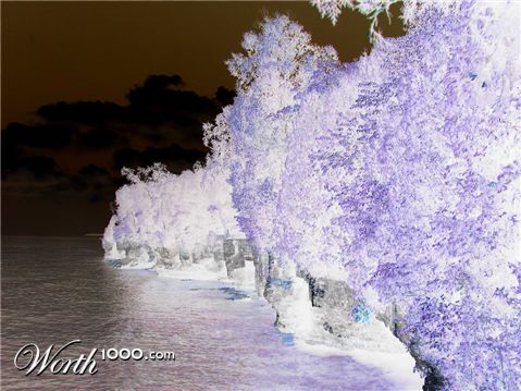 Photography by mattcrnk