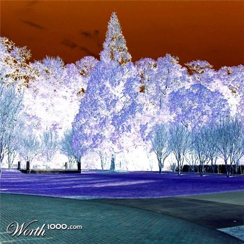 Photography by Defaultic