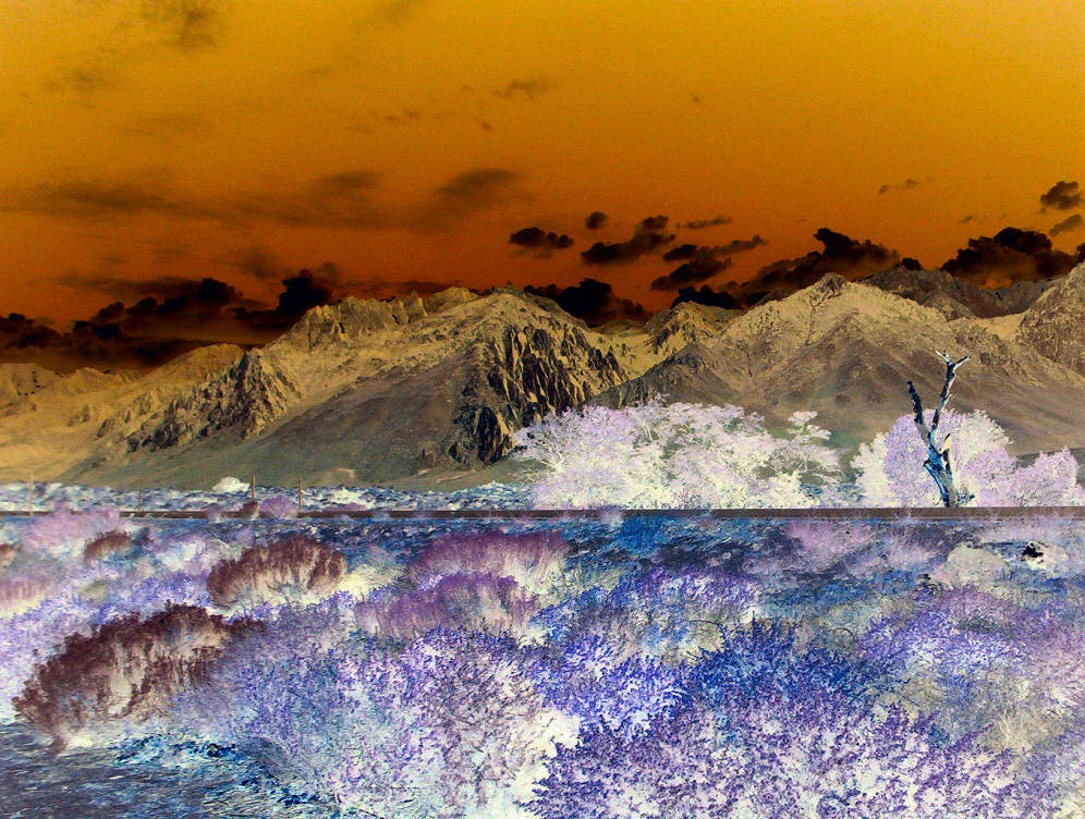 Fotografie von tlovesd für DesignCrowd (Community Contests) | Design #9068062