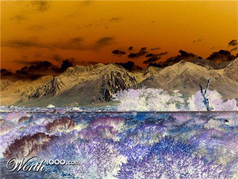 Photography by tlovesd