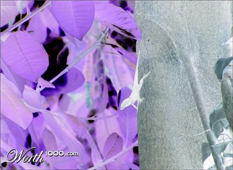 Photography by daisymae6580