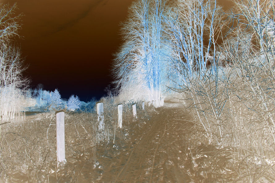 Photographie par Momsen pour DesignCrowd (Community Contests) | Design #9068032