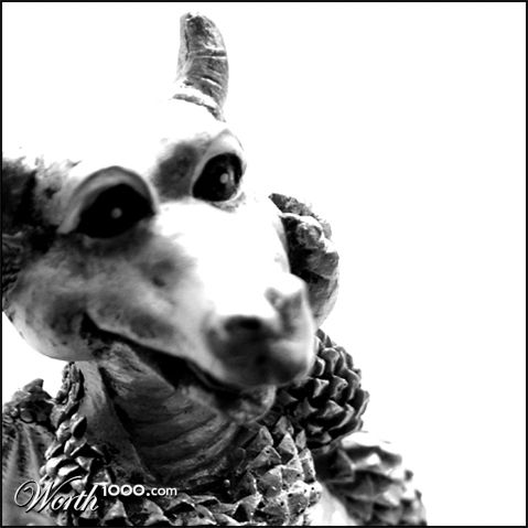 Photography by zensoul