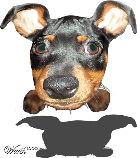 Photoshop Design by Elbennett