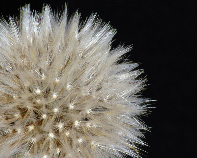 Fotografie von kimbomac für DesignCrowd (Community Contests) | Design #9060461