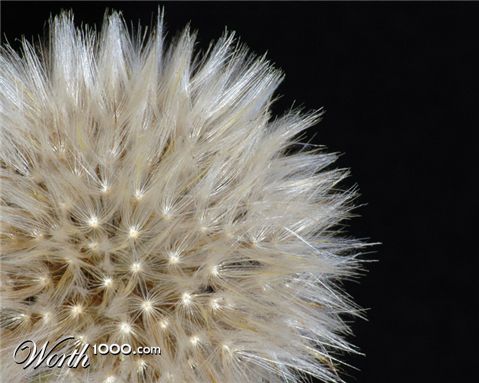 Photography by kimbomac