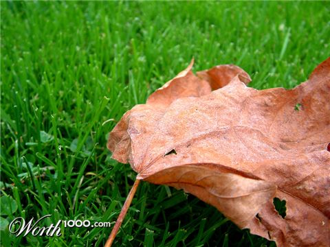 Photography by shaunjohnwood