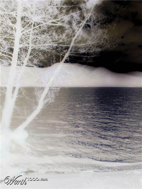 Photography by zuhalaksulu