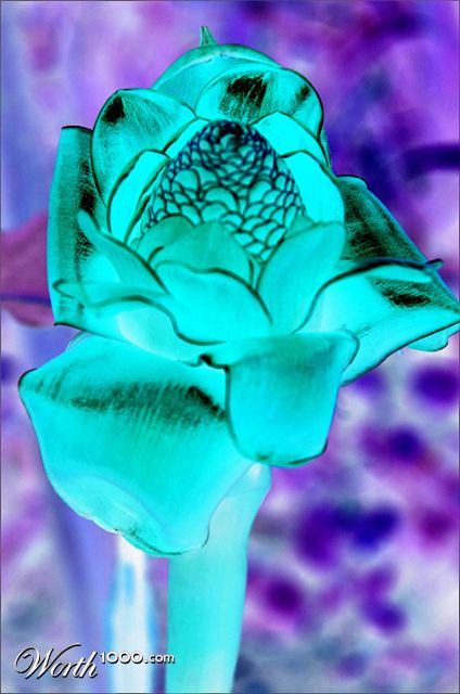 Photography by SixerHoo