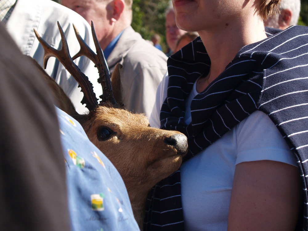 Photography by Kajelund for DesignCrowd (Community Contests) | Design #9067277