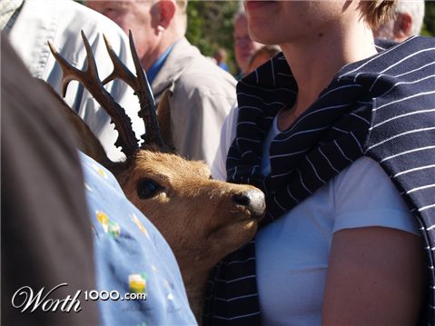 Photography by Kajelund