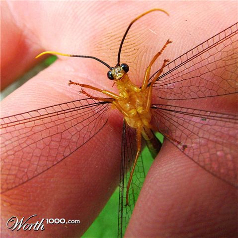 Photography by ozplasmic