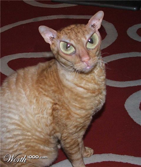 Photoshop Design by ojoblo