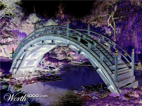 Photography by mazika